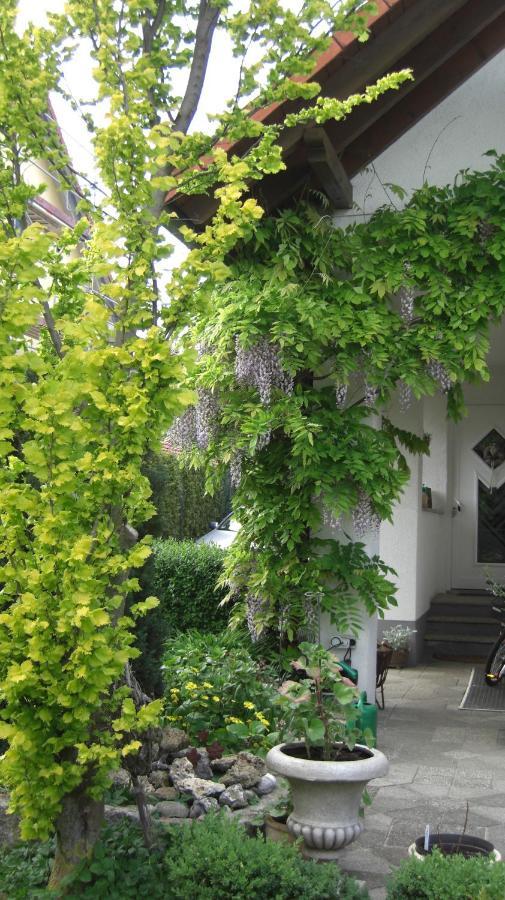 Appartement Am Goldberg Goldbach (Thuringia) Exterior foto